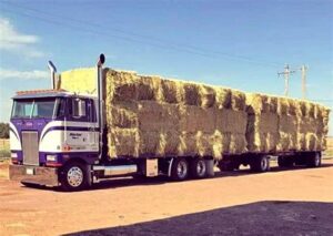 2005 Peterbilt 362 Hay Truck